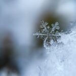 close up of snow flake