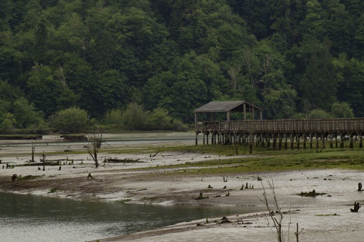 Bill Frank Jr. Nisqually Nation Wildlife Refuge