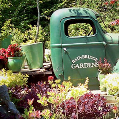 Bain Bridge Gardens